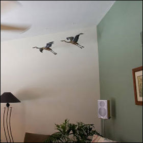 Cranes In Room