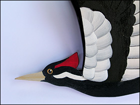 Ivory-Billed Woodpecker by Kim Russell