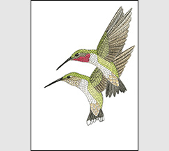 Pairing by Kim Russell | Ruby-throated Hummingbirds