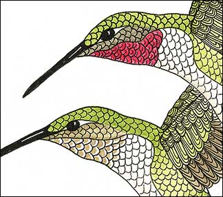 Pairing | Kim Russell | Ruby-throated Hummingbirds