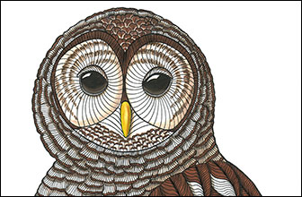 Soul Man by Kim Russell | Barred Owl | Birds In Art