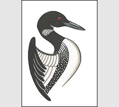 Pride by Kim Russell | Common Loon