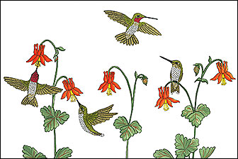 Hummingbird Drawing by Kim Russell