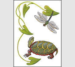 Encounter by Kim Russell | Painted Turtle and Dragonfly